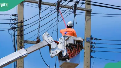TCN Warns of 30-Day Power Outage in Three States Amid Transmission Upgrade