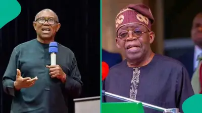 Tinubu's Aide Dismisses Peter Obi's 2027 Threat, Cites Performance