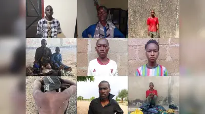 Troops Arrest Terror Suspects, Disrupt Logistics in North-East Nigeria