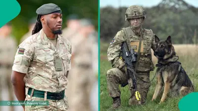 UK Army Reveals Annual Salaries for Dog Handler, Vet Nurse, AC Fitter