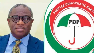 Who Is Wole Oluyede? Key Facts About PDP Candidate in Ekiti Governorship Election