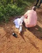 14-year-old boy shot dead by hoodlums near Osun LG secretariat