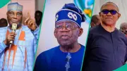 APC Stalwart Predicts Tinubu Victory in 2027 Presidential Election