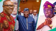 Arewa Declares 3 Politicians North Is Tired of Ahead of 2027 Election
