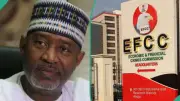 Buhari's Ex-Minister Used Rented Ethiopian Plane to Stage Fake Nigeria Air, Witness Says