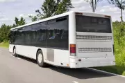 Bus Carrying Young Athletes Crashes in Hungary: Driver Killed, 23 Injured