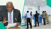 CBN Bans Banks, Fintechs From Lending to Related Firms Without Approval