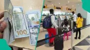 CBN Sets New Cash Travel Limits: $10,000 to $50,000 for Nigerians and Visitors