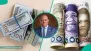 CBN Unveils New Forex Rules: 7 Key Changes Nigerians Must Know in 2026