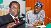 Fresh Trouble for Tinubu as School Certificate Demands Resurface Ahead of 2027
