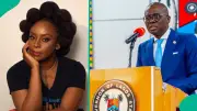 Fresh Twist: Court Halts Inquest into Chimamanda Adichie’s Son’s Death