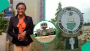 FUOYE Celebrates Alumna's MSc from UI and Prestigious Research Grant