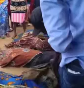 Gunmen kill seven, injure many in Plateau community attack