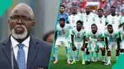 I Am Life President of NFF: Amaju Pinnick Warns Nobody Can Stop Him in Nigerian Football