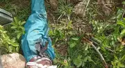 Missing man found dead with gunshot wounds and machete cuts in Plateau