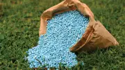 NADF distributes 100,800 bags of fertiliser to farmers in 5 states