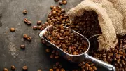 Nigeria Coffee Revival Initiative Launched to Boost Revenue and Exports