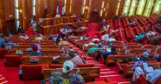 Nigerian Senate Considers Six-Year Single Tenure for Presidents, Governors