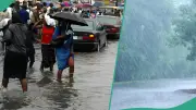 NiMet Forecasts Heavy Rain, Thunderstorms Across Nigeria Today