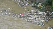 Ogun Community Demands Sanction Over Company's Water Pollution