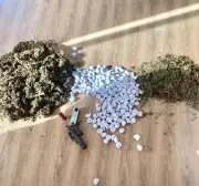 Police Recover Pistol, Indian Hemp in Akwa Ibom Operation