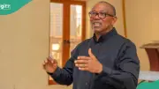 Political Analyst Blames South-East Actors for Undermining Peter Obi's Stronghold