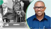Presidency Dismisses Peter Obi's Call for Tinubu's Resignation as Childish