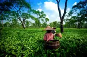 Stakeholders Push Agritourism as Key to Food Security and Economic Growth