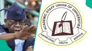 Tinubu's Govt Approves 5 Months' CATA Payment to University Lecturers