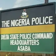 Two Brothers Arrested for Allegedly Raping 15-Year-Old in Delta