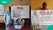 Two Grandfathers Arrested for Selling Drugs to Students in Abia