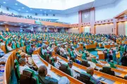 Ugochinyere's Nomination as Reps Minority Leader Sparks Eligibility Debate