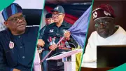 What Obi Should Learn from Tinubu: Wike Drops Bombshell on Peter Obi