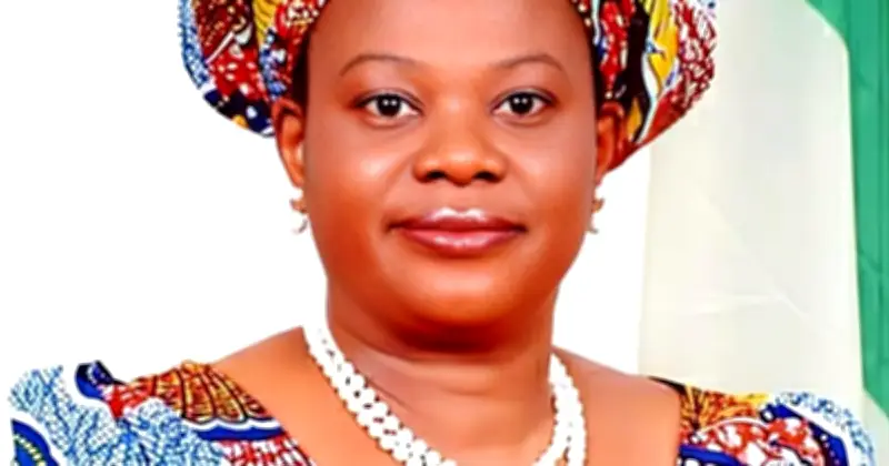 Akunyili's son right: Every sector could use former NAFDAC chairman
