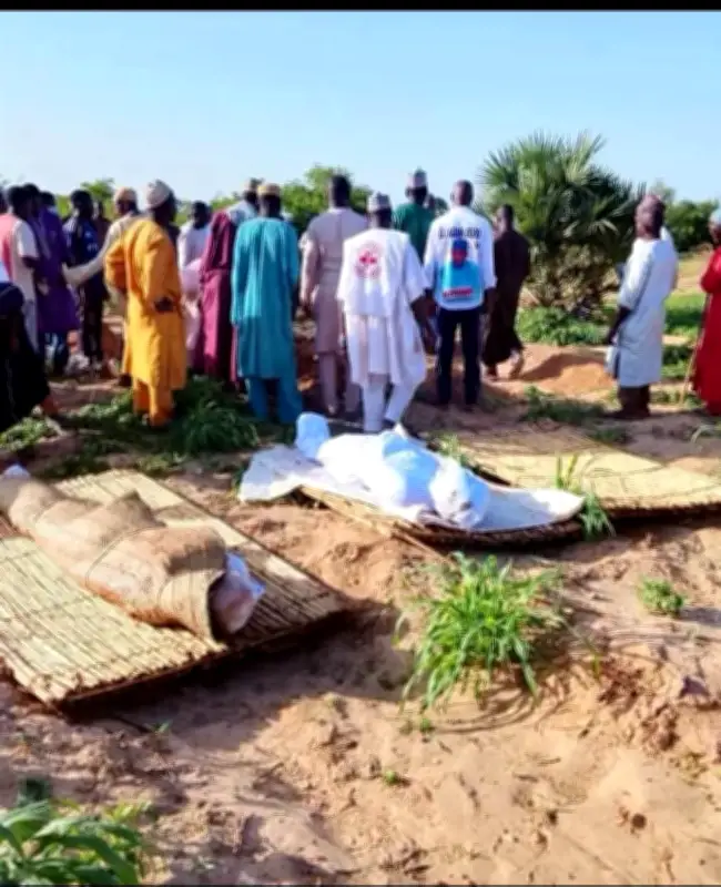 Bandits kill village head, son, four others in Sokoto community