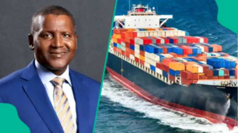Dangote: Private Investment in Fisheries Can Create 500,000 Jobs in Nigeria