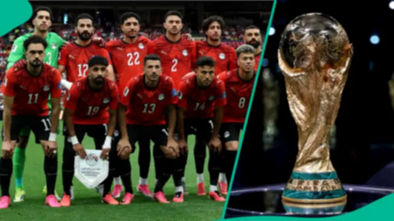 Egypt FA Slams US Police After Harassment of Players and Coach at World Cup Hotel