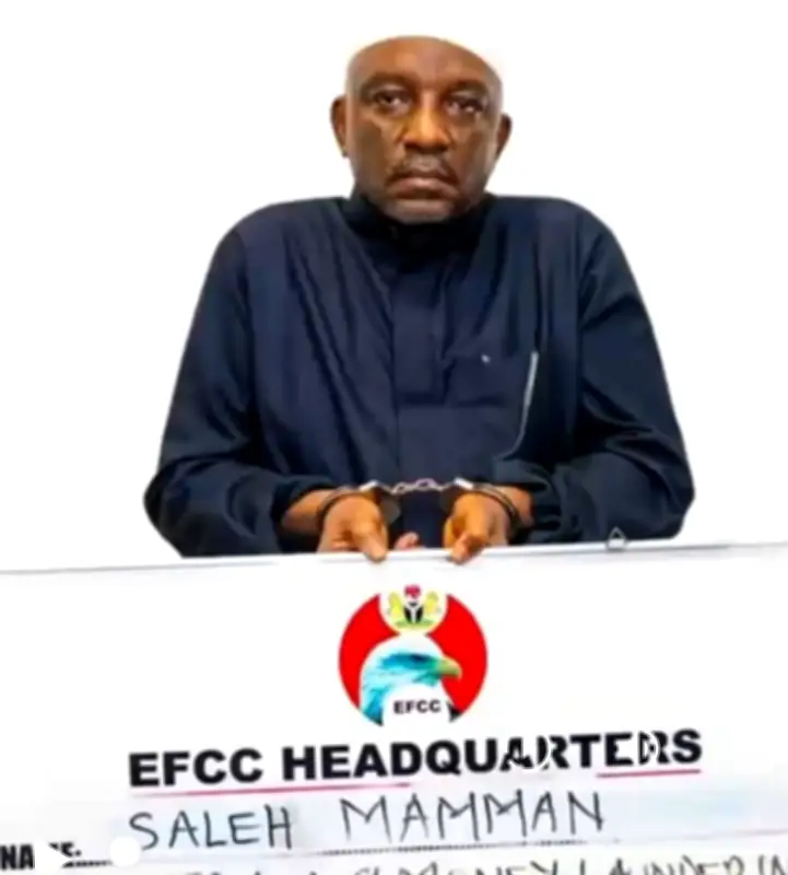 Ex-Power Minister loses more assets to FG, court orders forfeiture