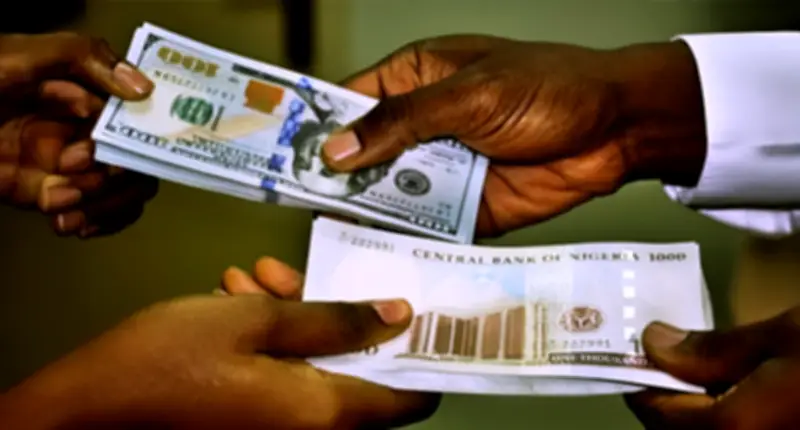 Naira Holds Firm as CBN Hawkish Stance and Higher Oil Output Boost FX Stability