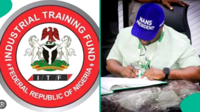NANS Launches Portal for Unpaid SIWES Allowances, Urges Students to Apply