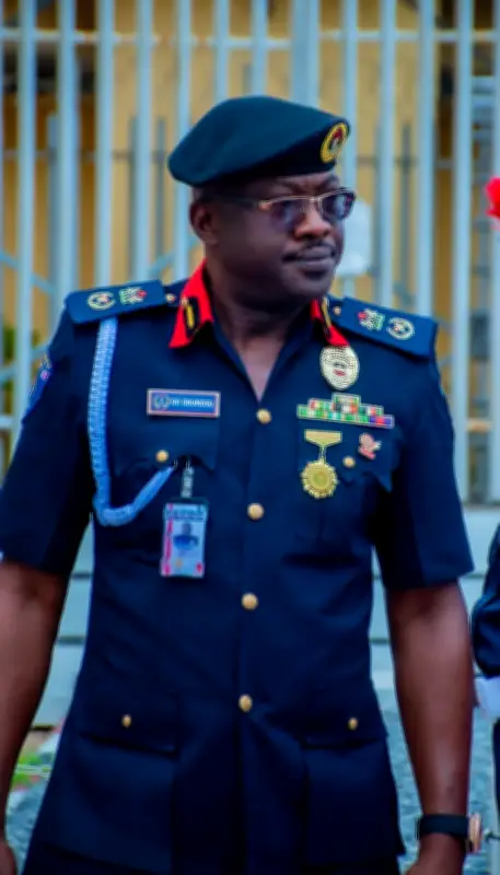 NSCDC arrests 30 suspected vandals in FCT within six months