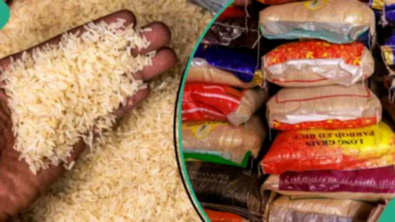 Rice Prices Crash Across Nigeria: Latest Brand Rates Revealed