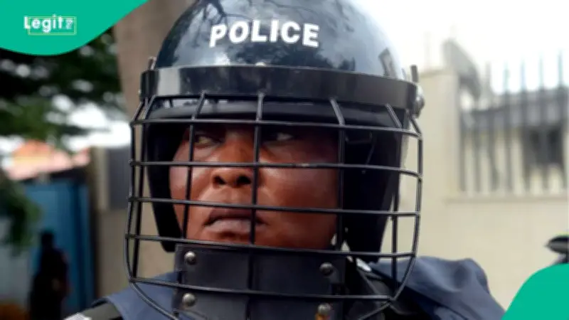 State Police: Why More Guns May Not Solve Nigeria's Security Crisis