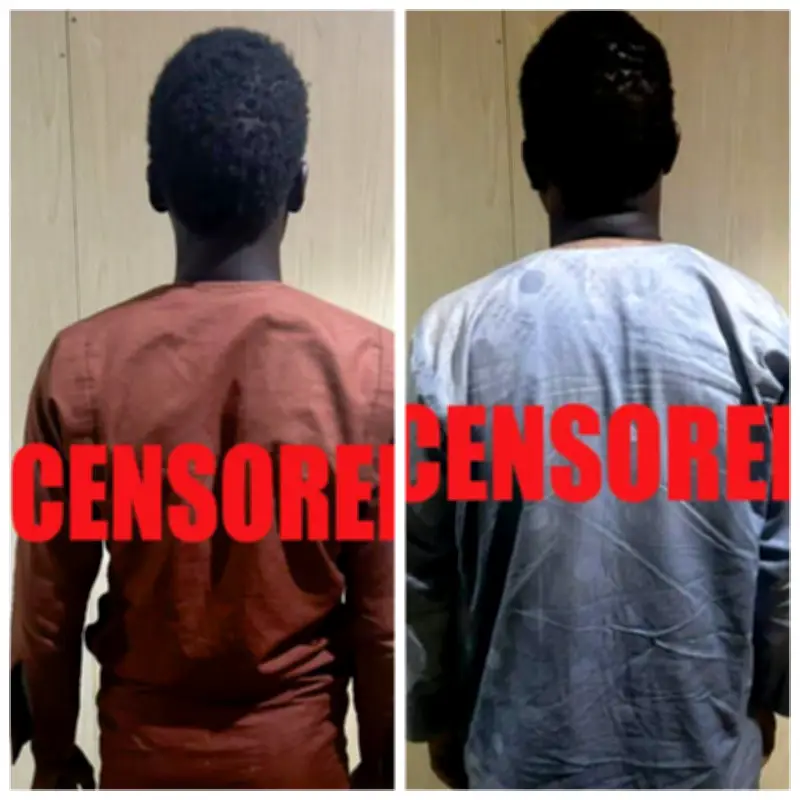 Two High Profile Terrorist Commanders Surrender to Nigerian Army in Borno
