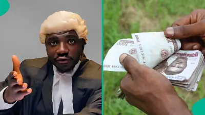 Lawyer Shares Legal Steps to Recover Money from Debtors, Video Trends