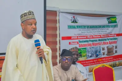 Nigeria Receives Critical Minerals Report to Power Green Industrialisation