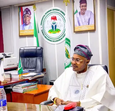 Presidency dismisses fake agency chief Adeyemi Adeniyi Matthew as impostor