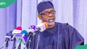 Arewa Youths React as Presidency Exonerates Gbajabiamila Over Fake Agency