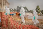 Clinical Trial for Bundibugyo Ebola Begins in DR Congo as Death Toll Hits 506