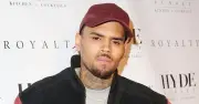 Court orders Chris Brown to pay ₦19 billion to housekeeper disfigured by his dog